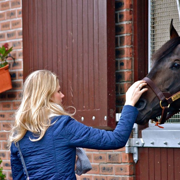 A fan meets Slade Power at Kildangan Stud