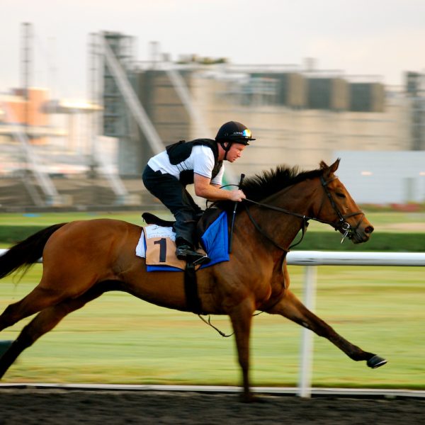 Balmont Mast in Dubai 2014 copy