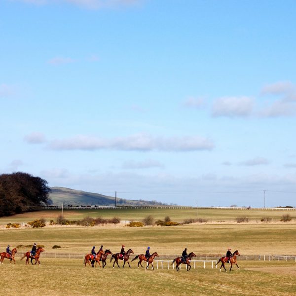 Curragh training grounds 2