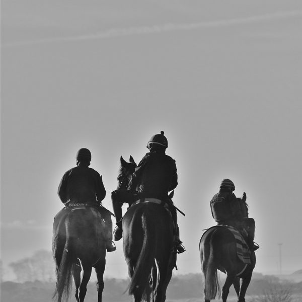 Curragh training grounds 3