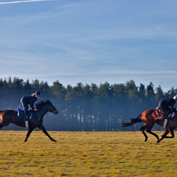 Curragh training grounds 4