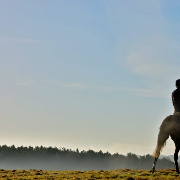 Curragh training grounds