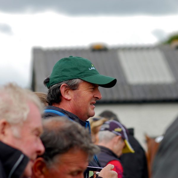 Eddie O Leary at Tattersalls Ireland August NH Sale 2016