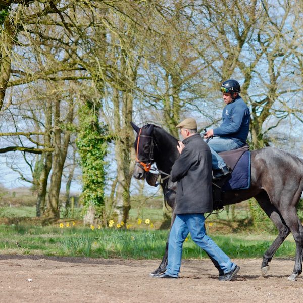 Edward training April 2015 copy