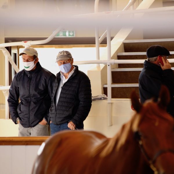 Fozzy Stack and Hubie de Burgh at Tattersalls UK Yearling Sales 2020