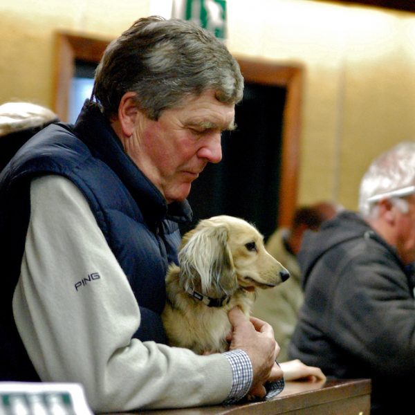 Goffs Foal Sale 2015