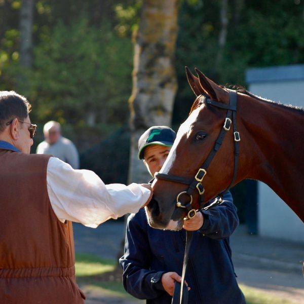 Goffs Orby 2015 Sheikh Hamdan meets Frankel filly ex Alexander Goldrun