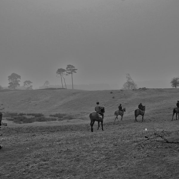 Horses and trainer James Nash on the Curragh 2