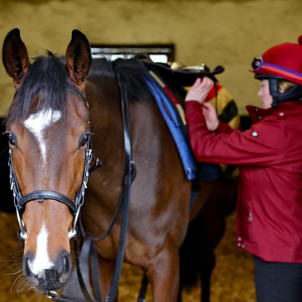 Sarah saddling The Tulip Feb 2016 copy