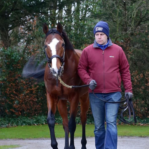 Stallion Trail 2019 Leading Light