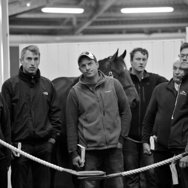 Tattersalls Ireland September 2016 Tally Ho