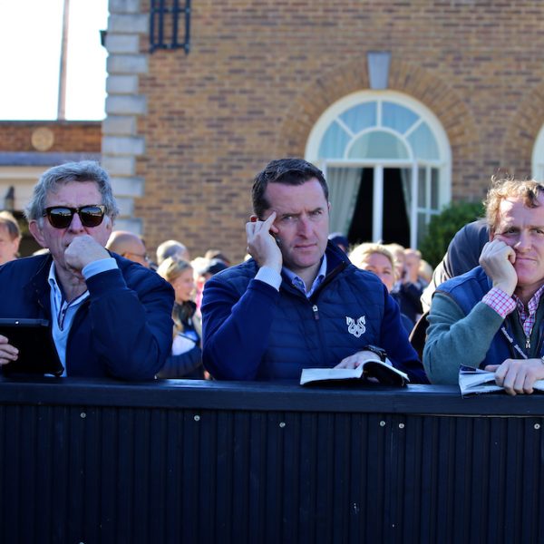 Tattersalls October 2018 Doyles and Richard Hannon