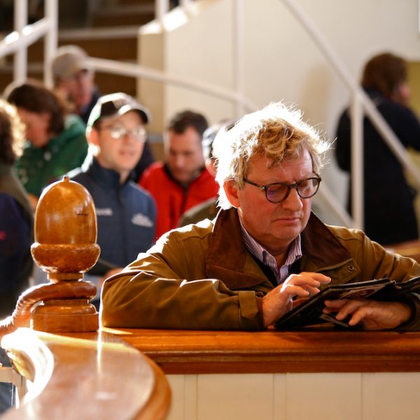 Tattersalls October 2019 Mark Johnston