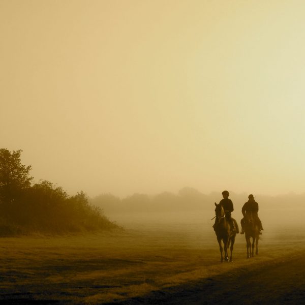 The Curragh 2014 Fog