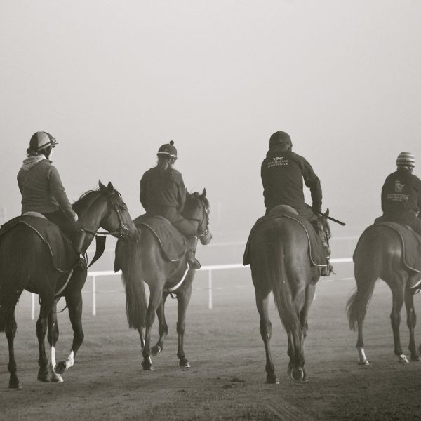 The Curragh 2014